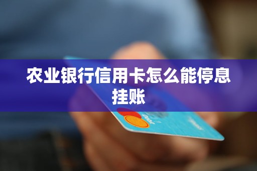 农业银行信用卡怎么能停息挂账-债务优化