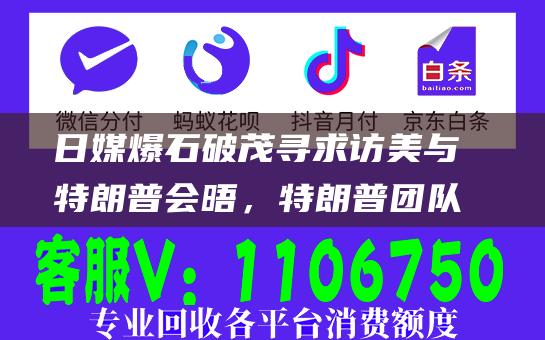 日媒爆石破茂寻求访美与特朗普会晤，特朗普团队：原则上不会在就职前与外国领导人会晤-日常分享