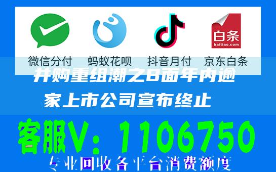 并购重组潮之B面：年内逾十家上市公司宣布终止半导体领域企业占比超五成-日常分享