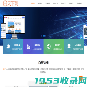 天下网-百度标王_百搜标王_百姓网标王_关键词排名包年推广