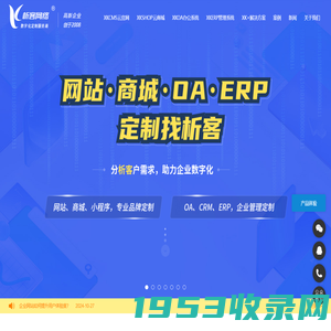 企业网站建设|江门网站建设|OA定制|ERP系统开发-析客网络