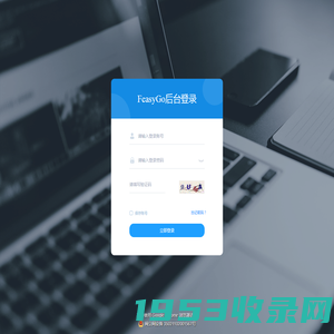 系统登录 · feasygo