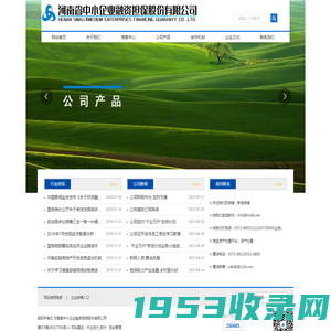 河南省中小企业融资担保股份有限公司_担保_融资_投资