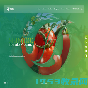 Best Tinned Tomato Paste Manufacturer in China | SHINHOO