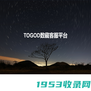 TOGOD数藏平台售后