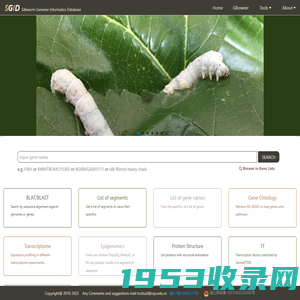 Silkworm Genome Informatics Database