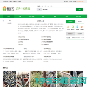 龙舌兰花_龙舌兰价格_龙舌兰图片-农苗网