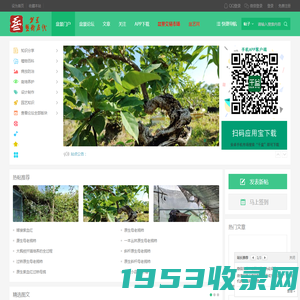 盆景艺术在线_盆景爱好者交易交流造型养护制作设计 -  cnpenjing.com