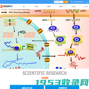 小激活RNA (saRNA)、小干扰RNA(siRNA)设计与合成、基因编辑（CRISPR/Cas9）,AAV/LV/ADV