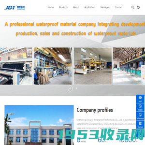 Shandong Dingtai Waterproof Technology Co., Ltd.