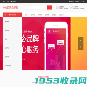 十传百网络服务
