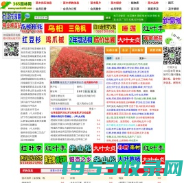 365园林网-苗木求购信息|苗木价格|绿化苗木供应|苗木网|中华园林行业网站