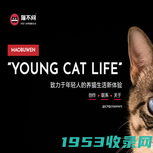 猫不问 - YOUNG CAT LIFE