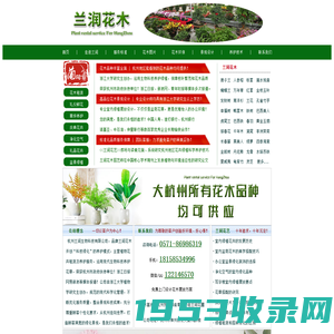 浙江|杭州绿植盆景租赁|绿化养护公司|办公室绿植租赁|花卉租赁-杭州景香园艺有限公司