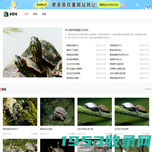 龟鳖网_龟鳖供求信息_龟鳖交易网_金钱龟_石龟_安南龟_鳄龟