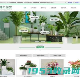 西安绿植租摆,西安绿植租赁,西安花卉租摆,绿植租摆,办公室绿植租摆 - 西安雅风园艺