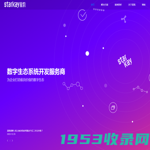 星凯网络_小程序系统开发_APP平台制作公司_高端品牌网站建设_平台系统定制开发