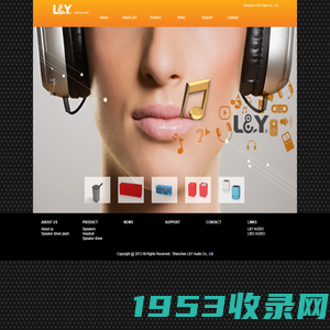 Shenzhen L&Y Audio Co., Ltd