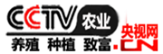 农业致富网_CCTV农业商务养殖种植视频频道!