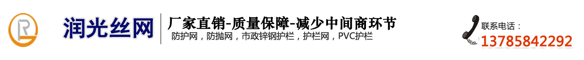 防抛网，铁路隔离栅，防护栅栏加高网片厂家-安平县润光护栏网厂