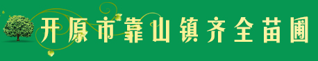 开原市靠山镇齐全苗圃