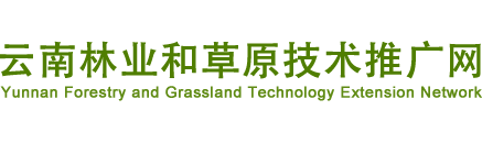 云南林业和草原技术推广网-云南省林业和草原技术推广总站,林业推广,林业和草原-云南省林业和草原技术推广总站